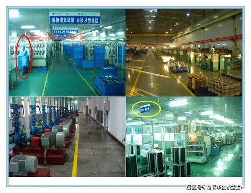 工廠6S與目視化管理 人手一份的卓越運營指南